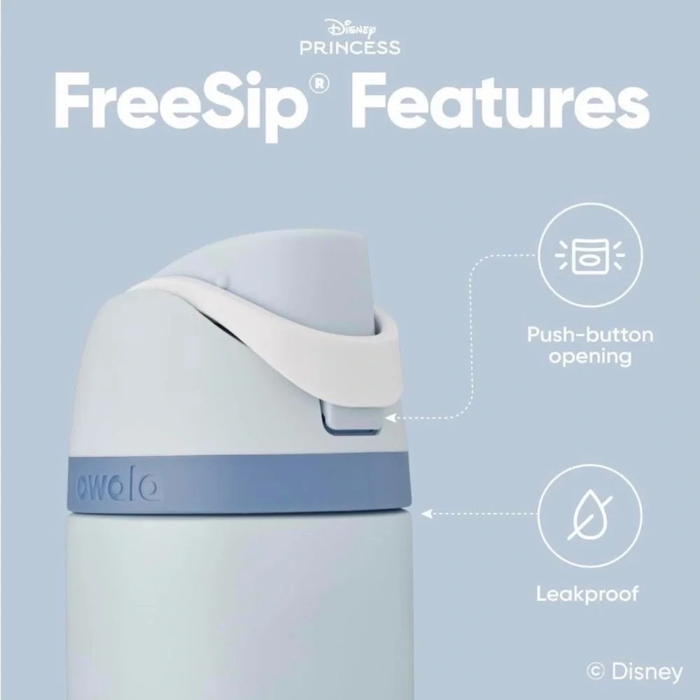 Owala Disney Cinderella Princess FreeSip 24oz